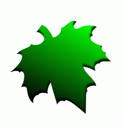 Green_Maple_Leaf